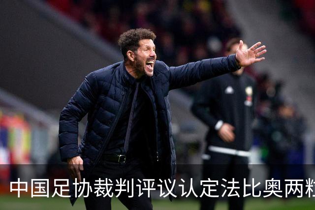 中国足协裁判评议认定法比奥两粒进球均为好球