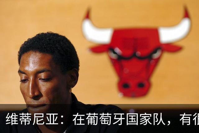 维蒂尼亚：在葡萄牙国家队，有很多人比我经验丰富